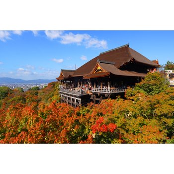 오사카4일 스파월드 풀패키지or유니버셜or1일자유 3대특식/오사카,교토,고베,아라시야마