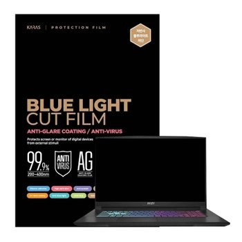MSI Sword GF76 B12UDXK 저반사 블루라이트차단필름
