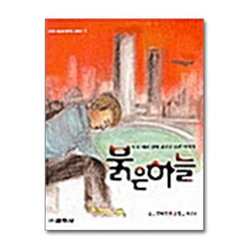 붉은 하늘 - 9.11 테러 뒤에 남겨진 슬픈이야기