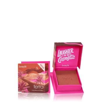 [해외] 베네피트 골드 쉬머 테라코타 테라 블러셔 미니 2.5g