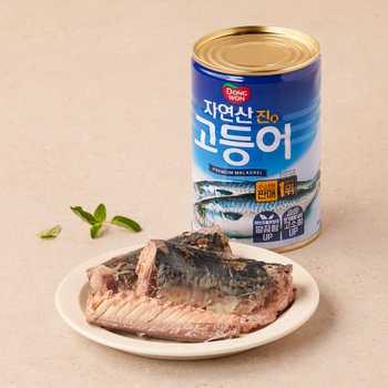 동원 자연산 진 고등어 300g