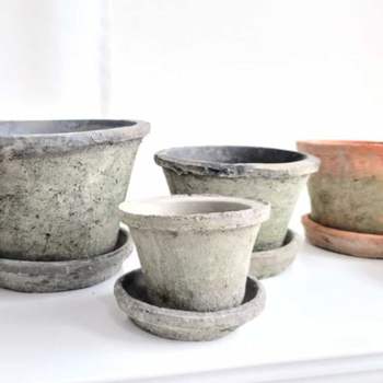 고토분 베이직볼 스킨답서스토분 아이비화분 필로덴드 토기화분 토분화분 빈티지토분 옹기화분