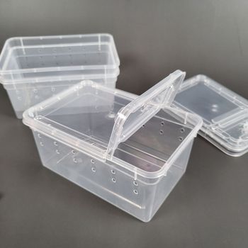 도마뱀 사육장 소형 장수풍뎅이 크레스티드 게코