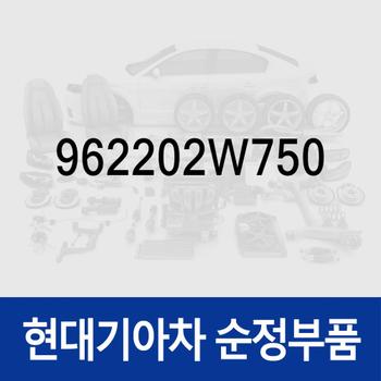 피더 케이블-안테나 메인 NO.1 (962202W750) 맥스크루즈/더 뉴, 싼타페 올뉴 (DM)/더 프라임 (DM)
