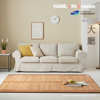 [한일생활과학]  현대L&C 프리미엄 名家 대청마루 카페트매트 2난방 특대형_183*280cm