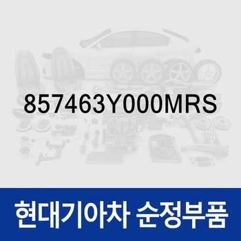 플러그 (1개) (857463Y000MRS) 팰리세이드