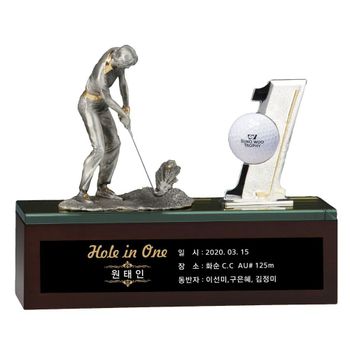 넘버원 SW231 주석 골프트로피 홀인원 우승상패