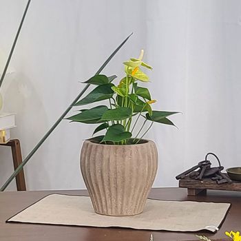 테라원 빈티지 아쿠아 토분 HN30412 13x16cm 엘도르