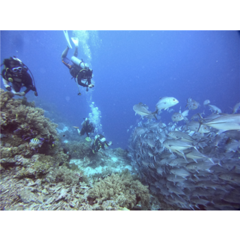 [모일수록 할인UP][다이빙6회+시내관광] 마나도 그랜드룰리 디럭스 3박5일