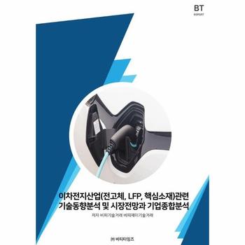 이차전지산업(전고체,LFP,핵심소재)관련 기술동향분석 및 시장전망과 기업종합분석