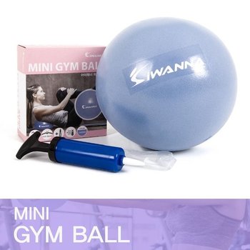 균형잡기 미니짐볼 실내운동 24cm 운동 운동홈트 미니볼 탱탱공 스트레칭볼 자세 홈트기구