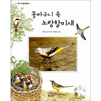 꽃바구니 속 노랑할미새 (책 + DVD 1장)
