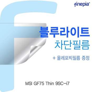 MSI GF75 Thin 9SC-i7 Bluelight Cut필름