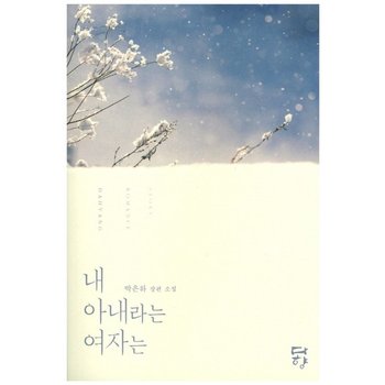 내 아내라는 여자는 박은하 장편 소설