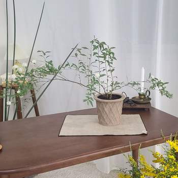 테라원 빈티지 아쿠아 토분 HN30411 14x15cm 체크