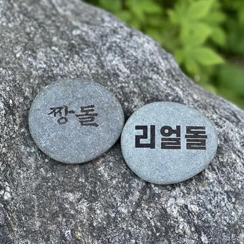 아트박스/갓샵 쓸데없는 반려돌 애완돌 웃긴 선물 펫스톤 돌 키우기