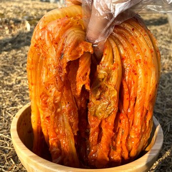 당일생산 저온숙성 전라도 묵은지 신김치 묵은김치 2kg 3kg 5kg