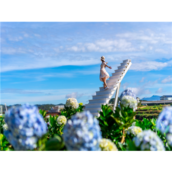 [노쇼핑+230상당혜택(FUN한선상파티+특식)] 나트랑(2)+달랏(1) 3박5일[5성] AVP636KE5G