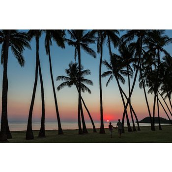 하와이 8일 힐튼와이키키비치 특급호텔 디럭스오션뷰 2일관광 쿠알로아랜치무비사이트 와이켈레아울렛 새우트럭