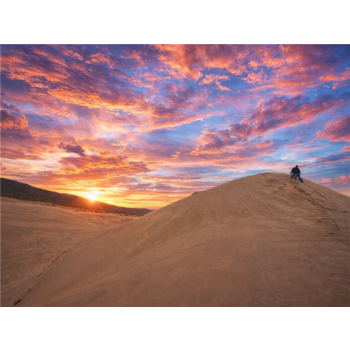 [청주출발][노팁/노옵션/노쇼핑] 몽골/테를지/룬숨 미니사막 품격투어 4일 5성호텔/승마/낙타/푸르공/공연/마사지/노마딕체험