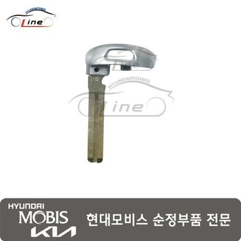 그랜저 20 IG 키 블랭킹 PIC 81996 M5000